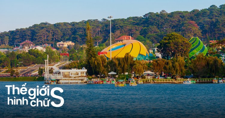 Blog Du Lịch Đà Lạt: Gợi Ý Lịch Trình, Điểm Check-in & Ẩm Thực Không Thể Bỏ Lỡ